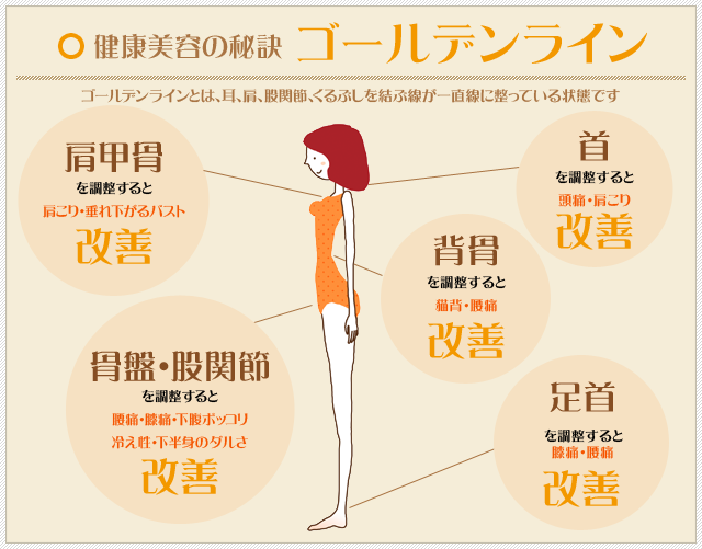 健康美容の秘訣 ゴールデンライン